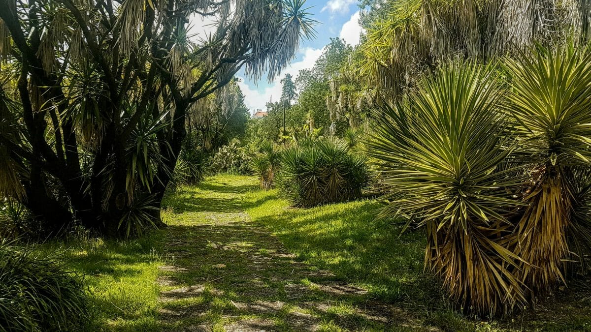 20190425 160517 scaled e1577488260749