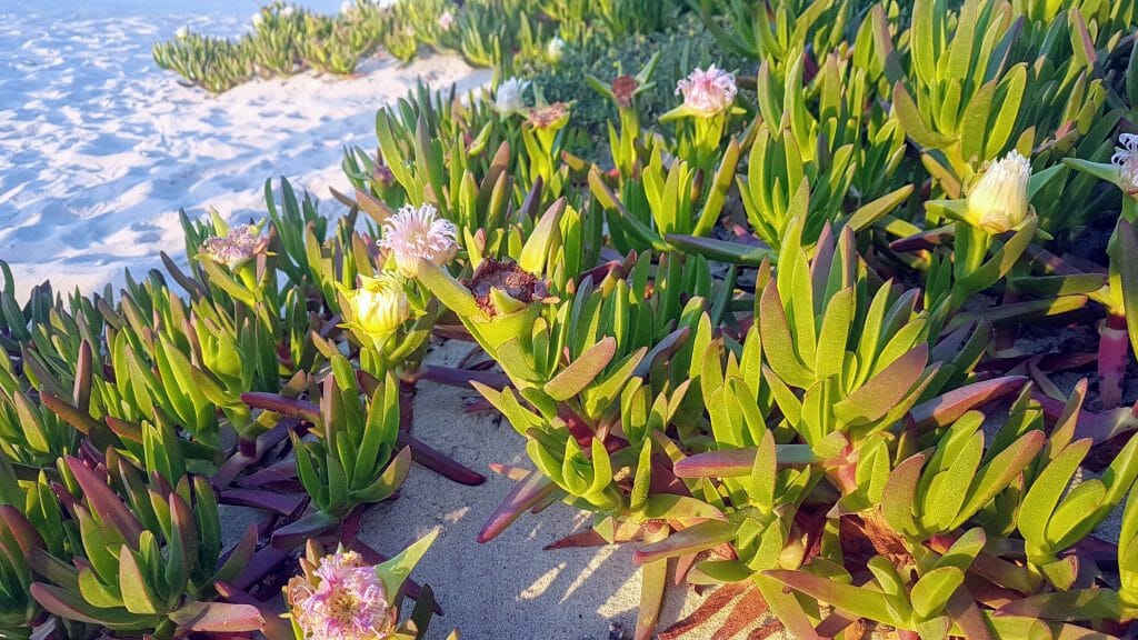 20190501 200350 scaled e1577561737580