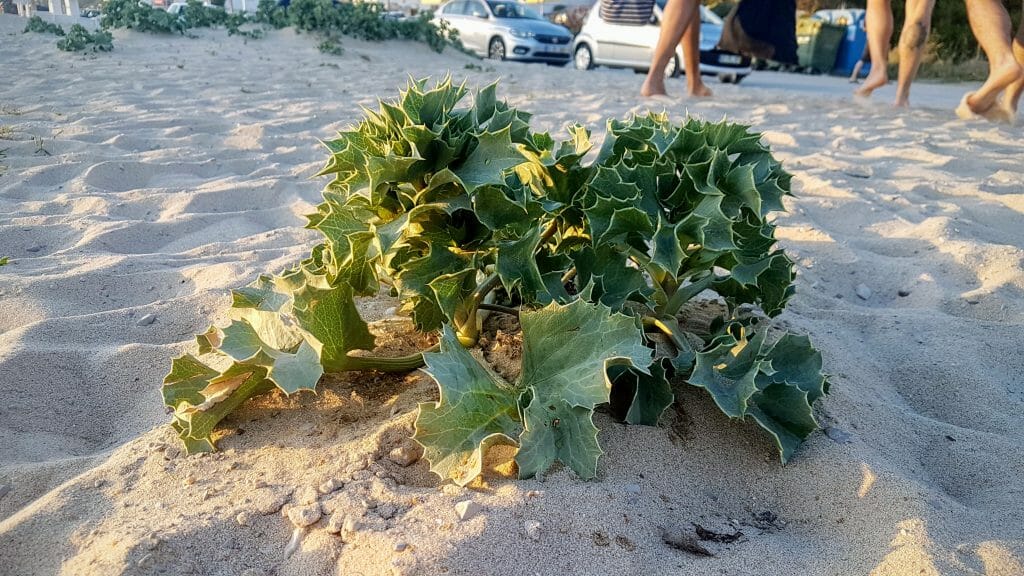 20190501 200416 scaled e1577561725623