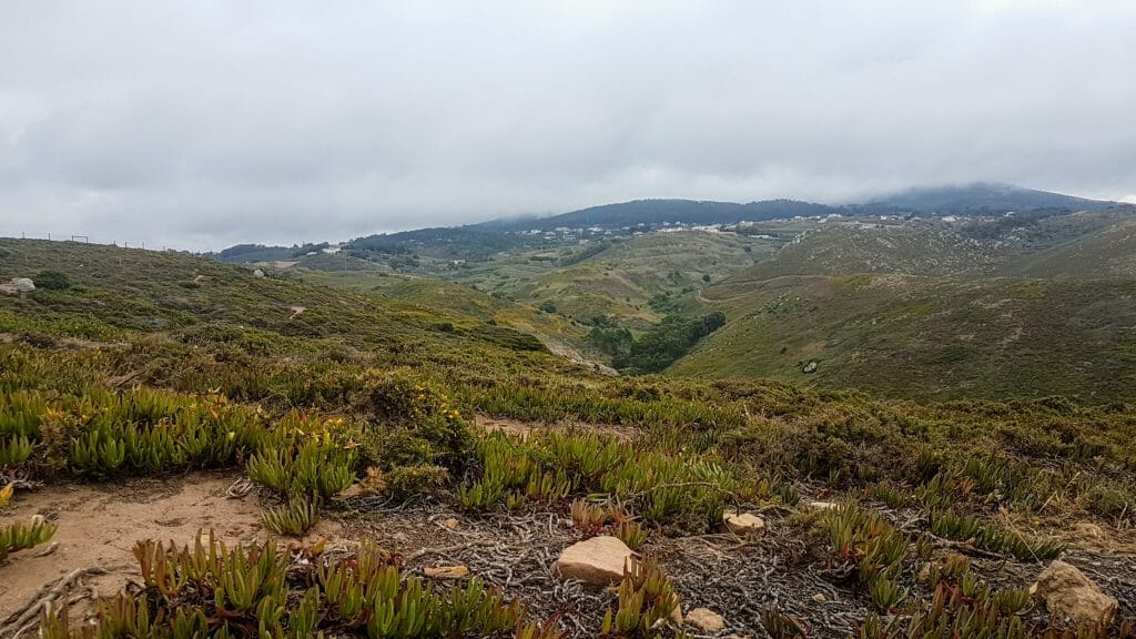 20190620 093841 e1577566187879