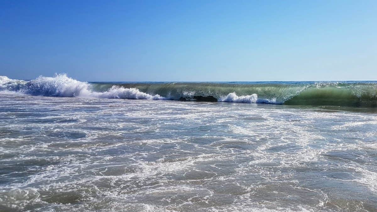 20190907 165101 e1577493246736