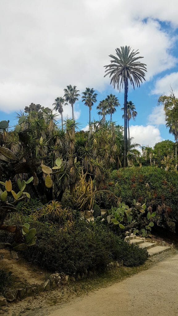 20191004 131944 scaled e1577488767400