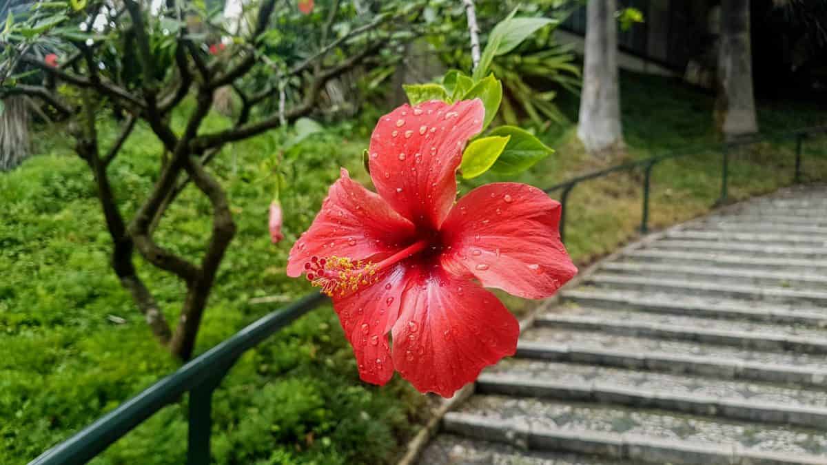 20191004 132452 scaled e1577488779766