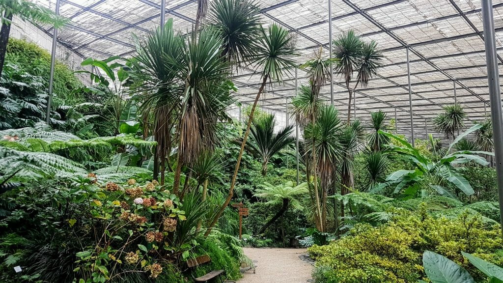 20191120 144103 e1577490577938