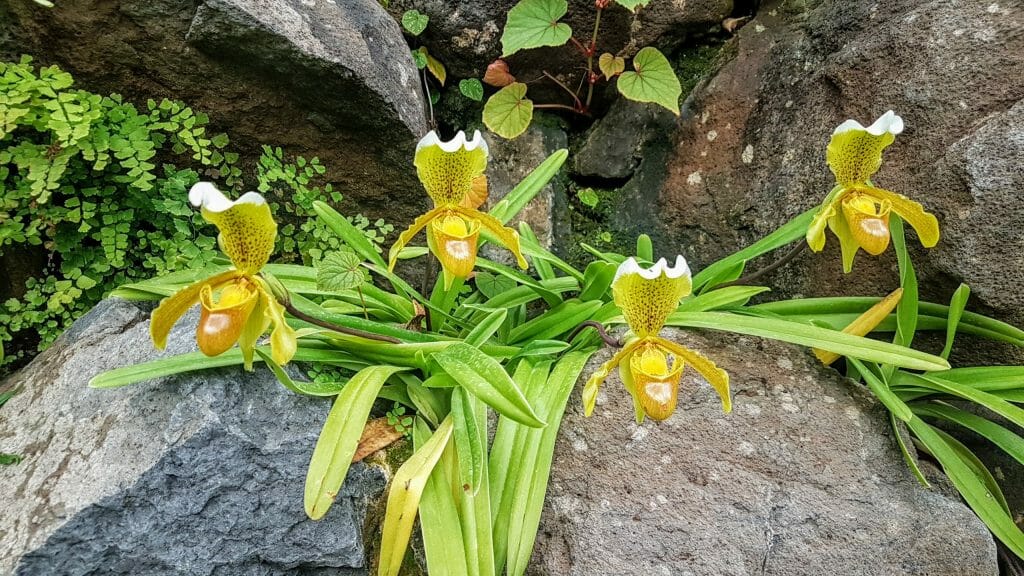 20191120 145559 e1577490566996