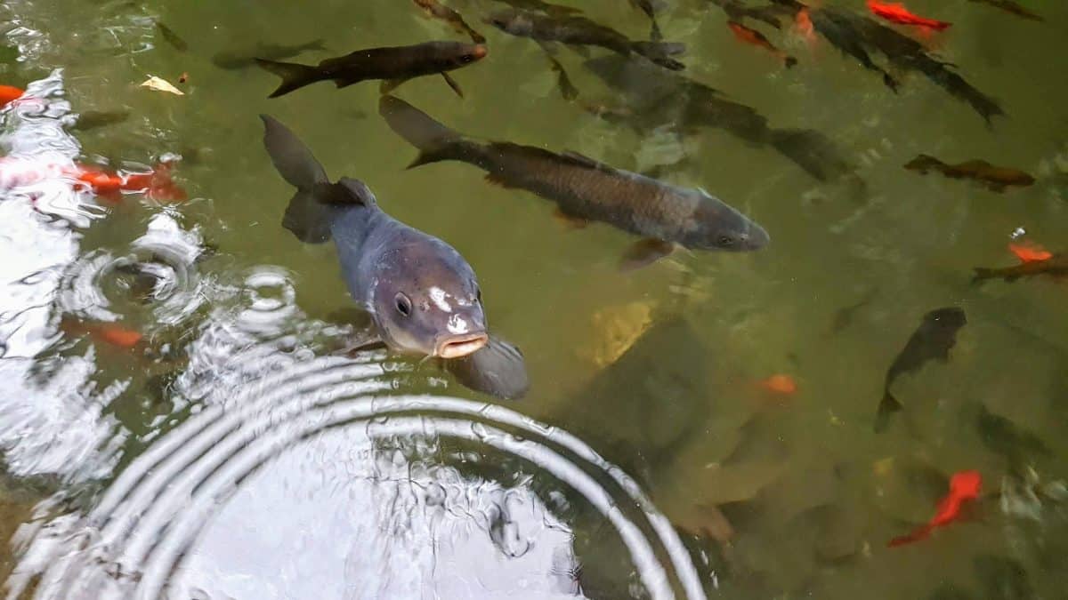 20191120 150140 e1577490299260