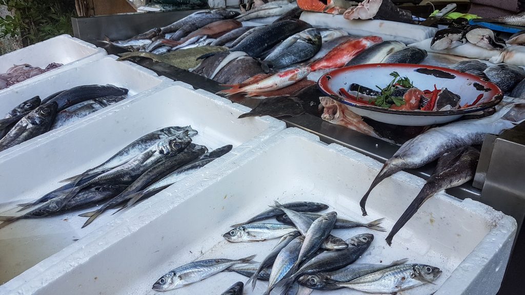 20170928 131800 scaled