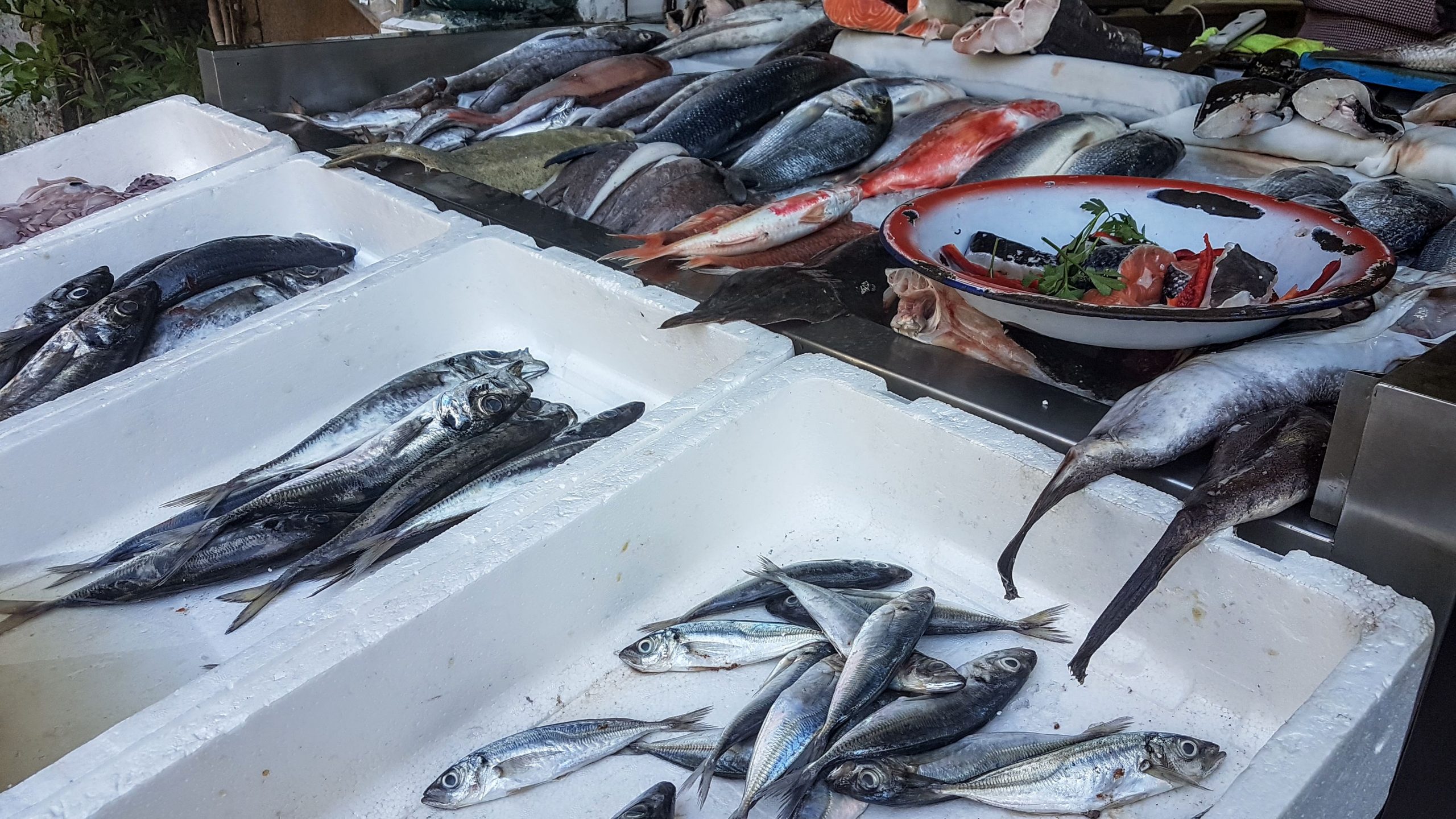 20170928 131800 scaled