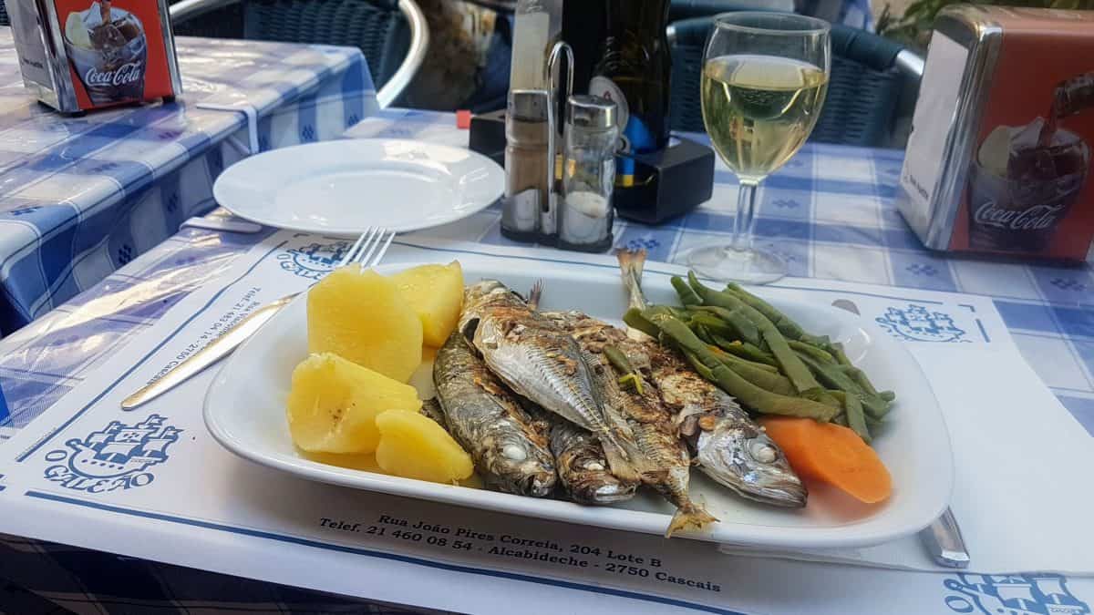 20190420 183537 e1579733703718