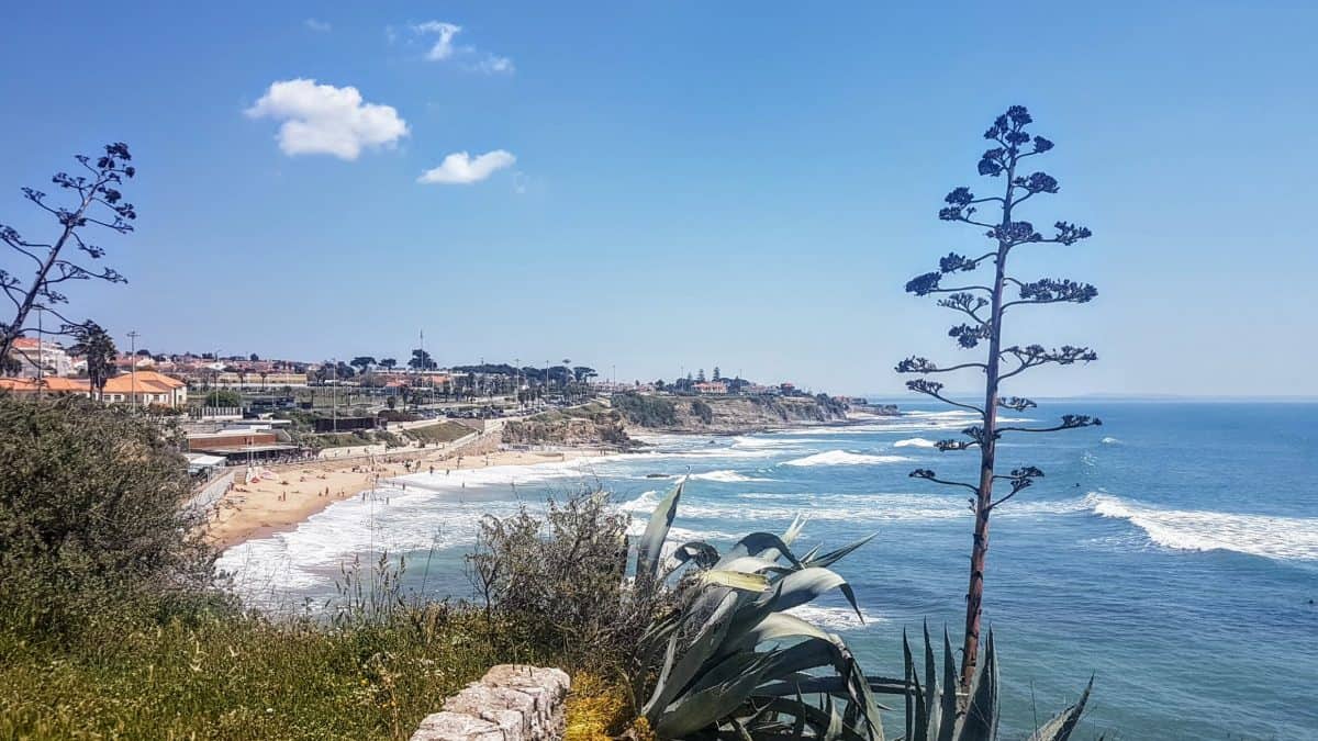 20190421 135946 e1579993426971