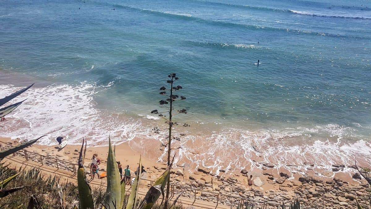 20190421 140247 e1579993444204