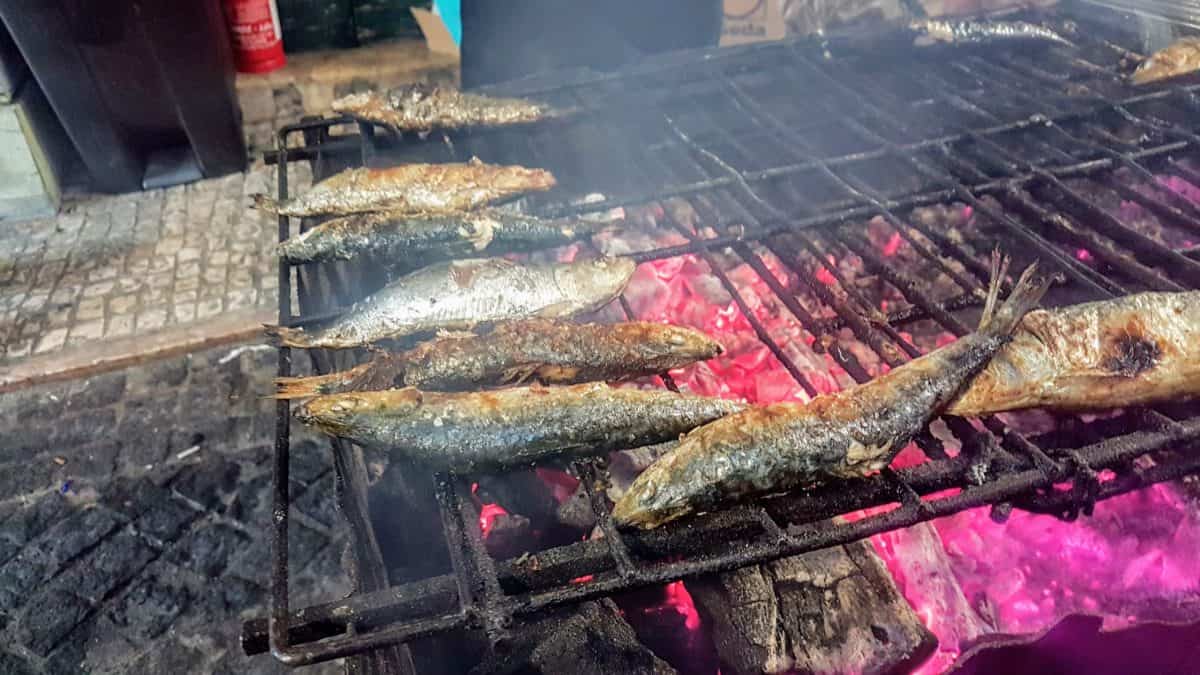 20190612 220743 scaled e1579731283164