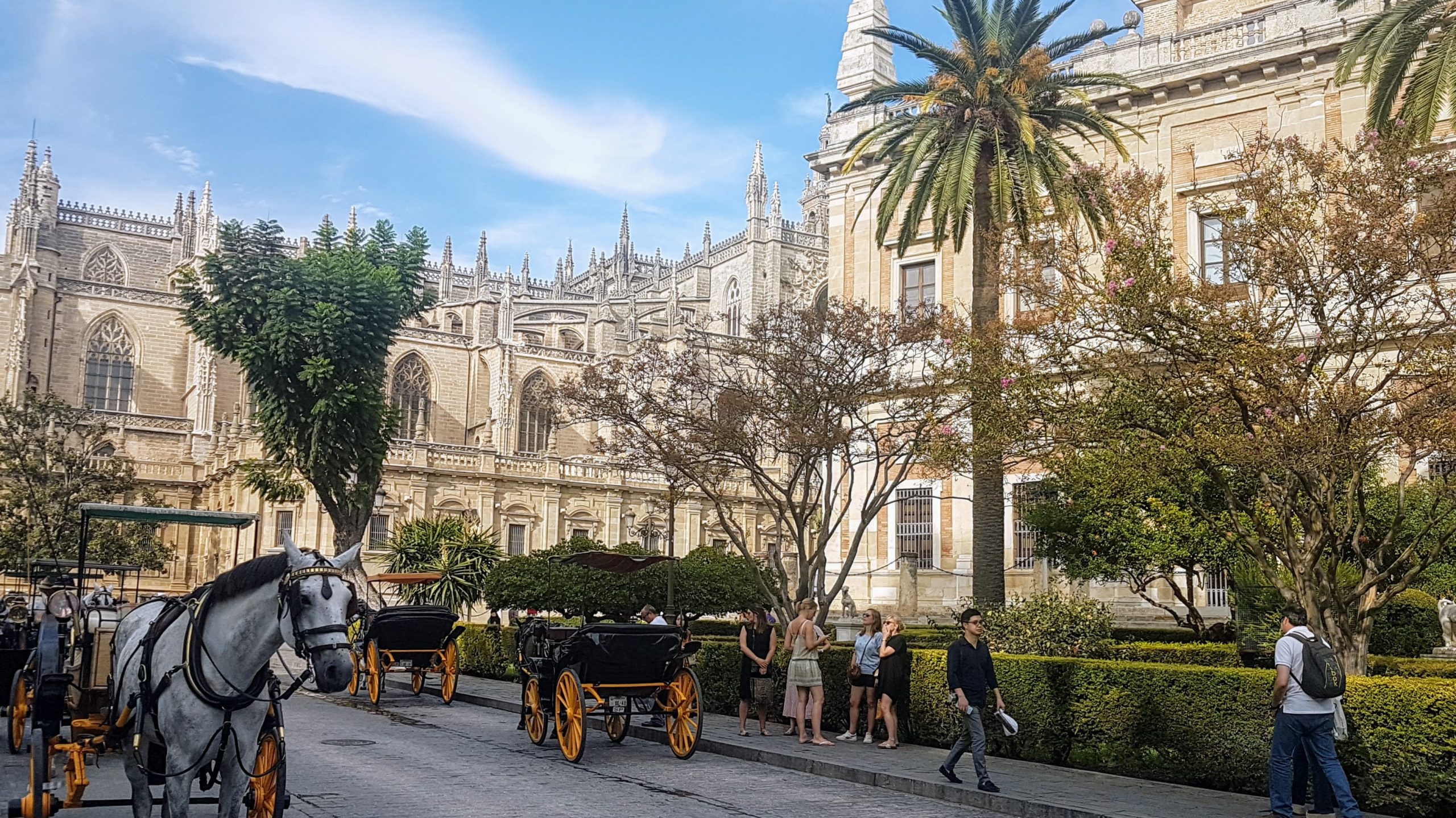 20191005 171750 scaled