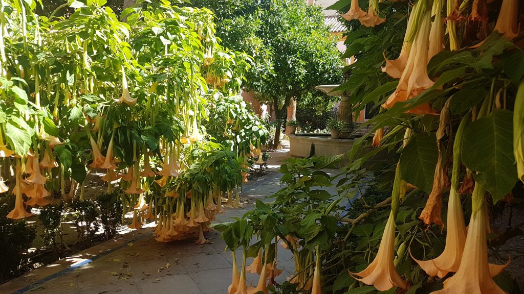 20191006 152941 scaled