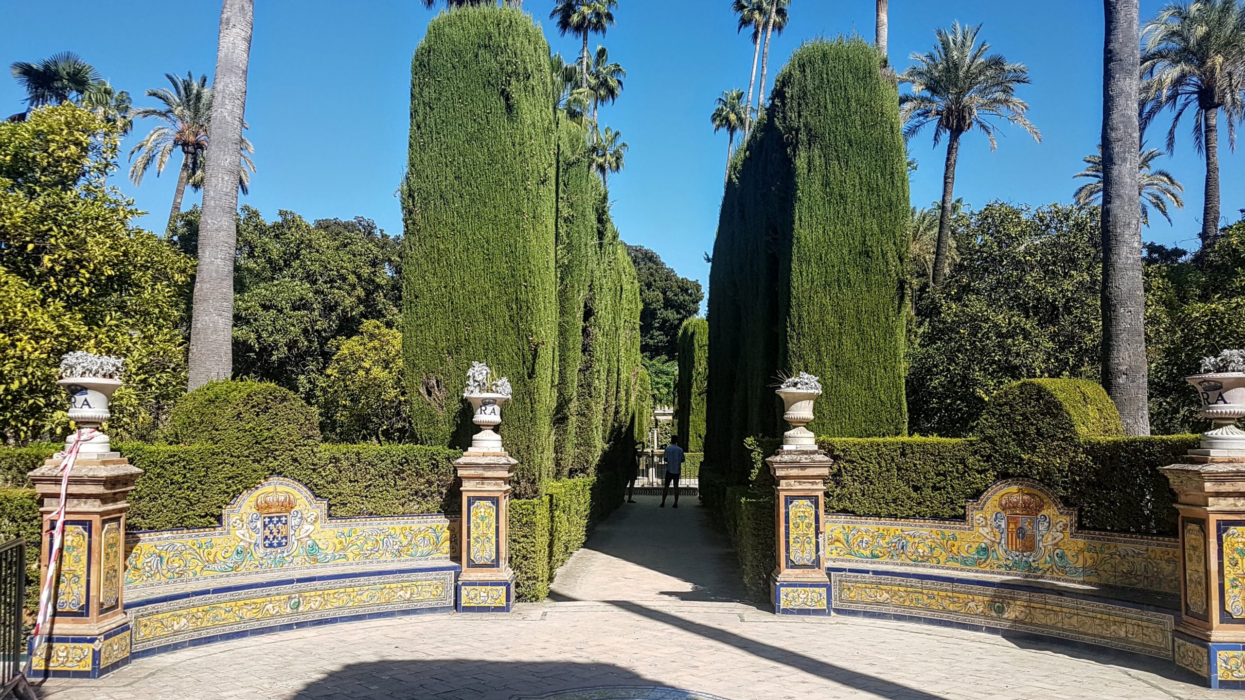 20191006 153727 scaled