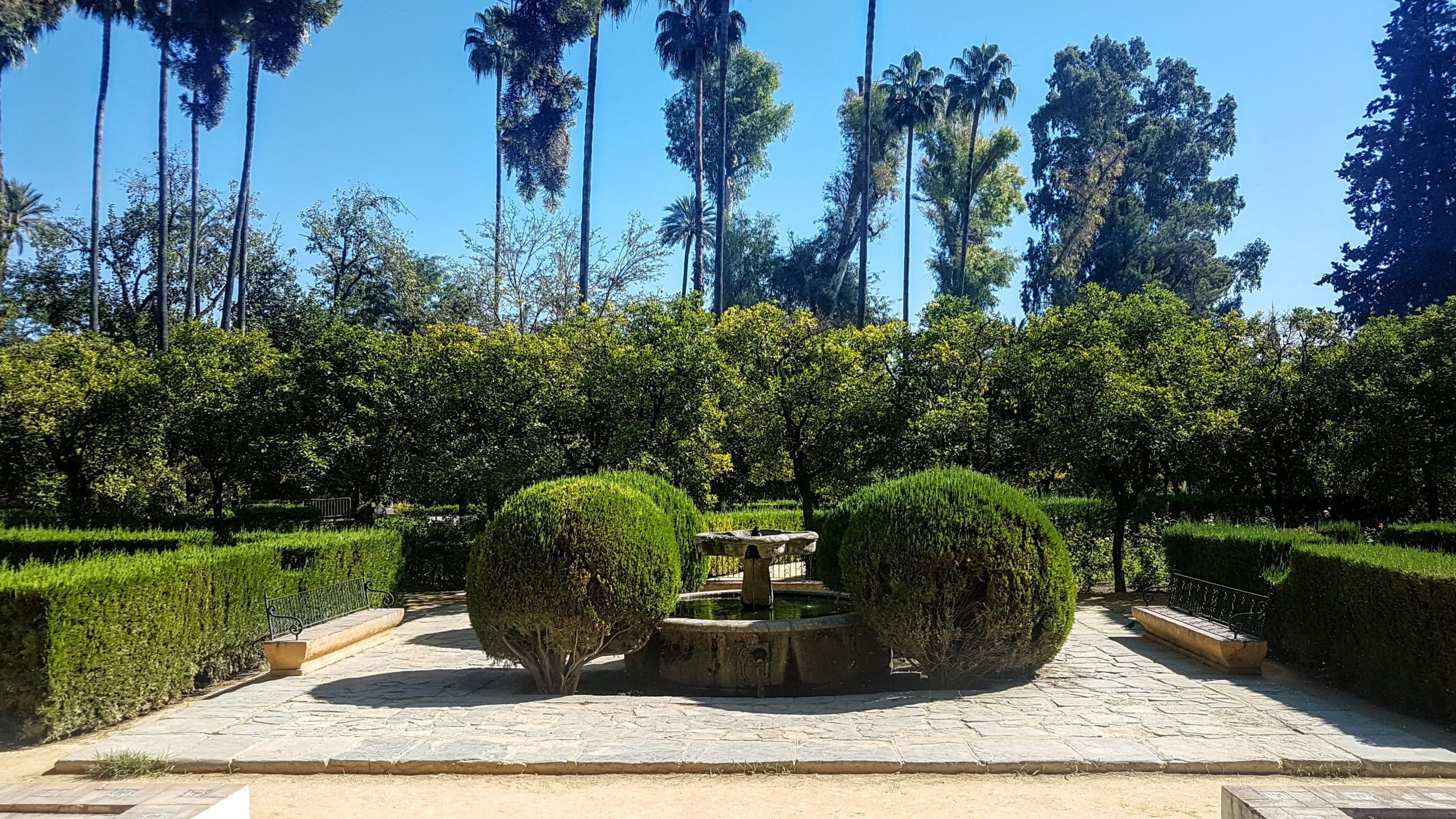 20191006 154654 scaled