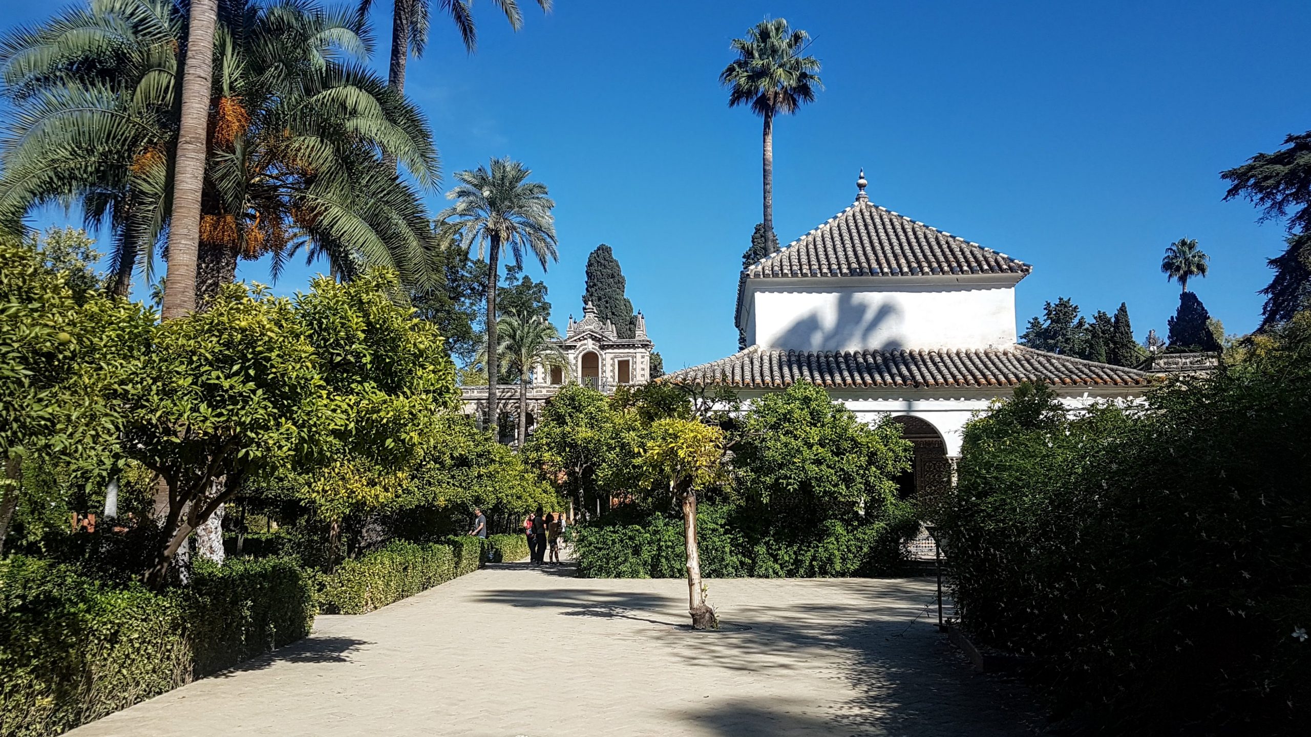 20191006 155835 scaled