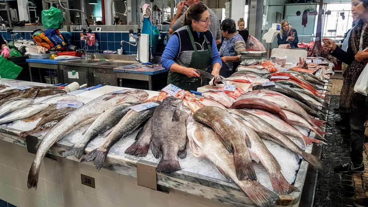 20191026 120949 scaled e1579735014728