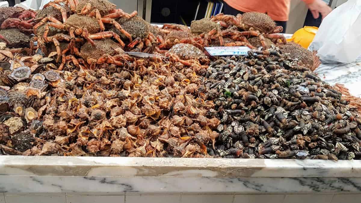 20191026 121029 scaled e1579735093648