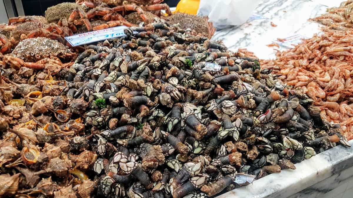 20191026 121031 scaled e1579735084660