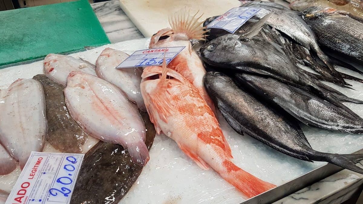 20191026 121120 scaled e1579735036581