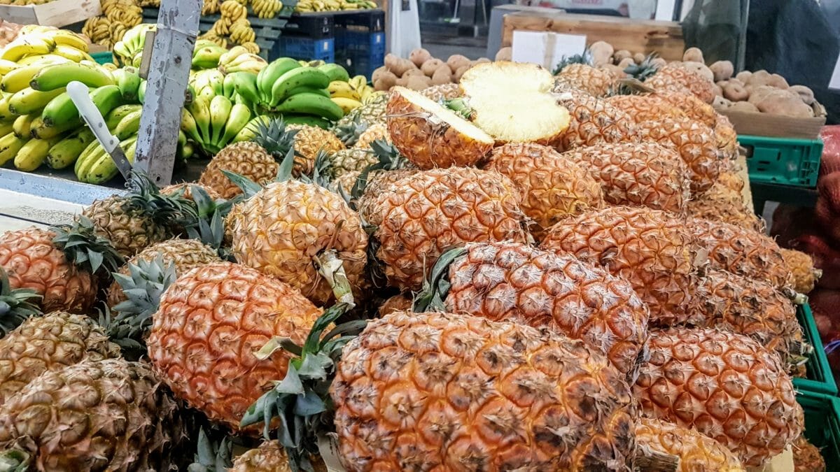 20191116 092226 scaled e1580243745739