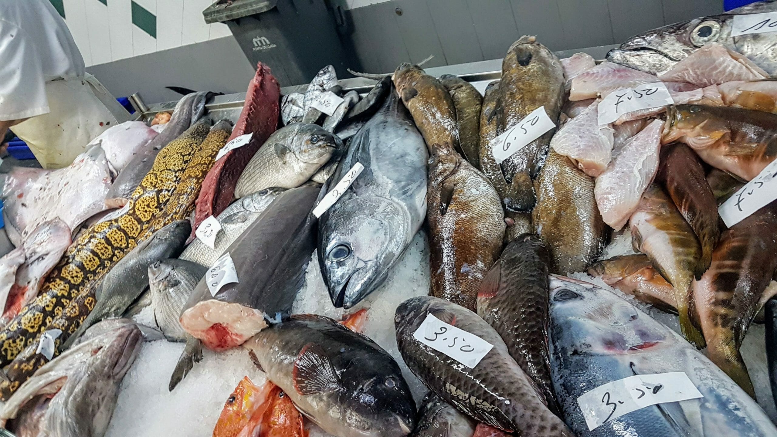 20191116 092540 scaled