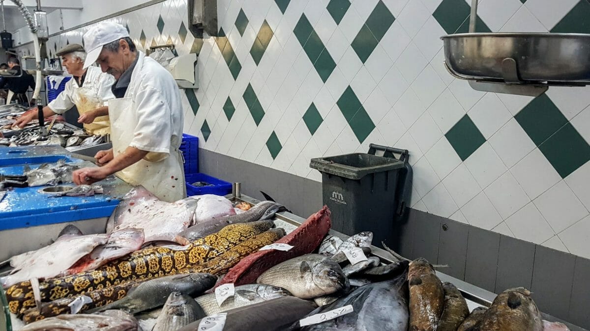 20191116 092541 scaled e1580243763415