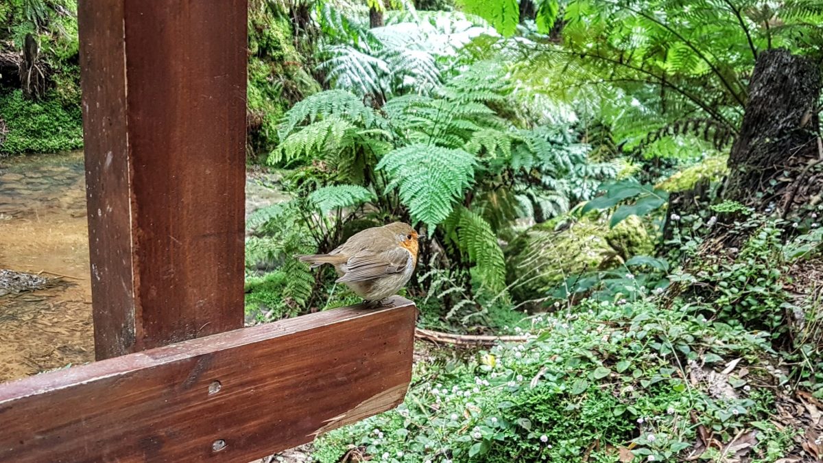 20191116 122807 scaled e1580307535602