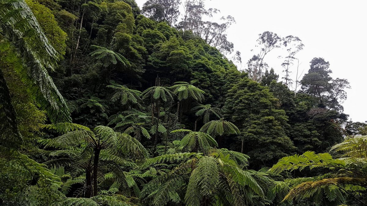 20191116 125828 scaled e1580307519199