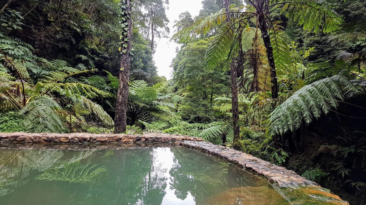 20191116 130108 scaled e1580307508383