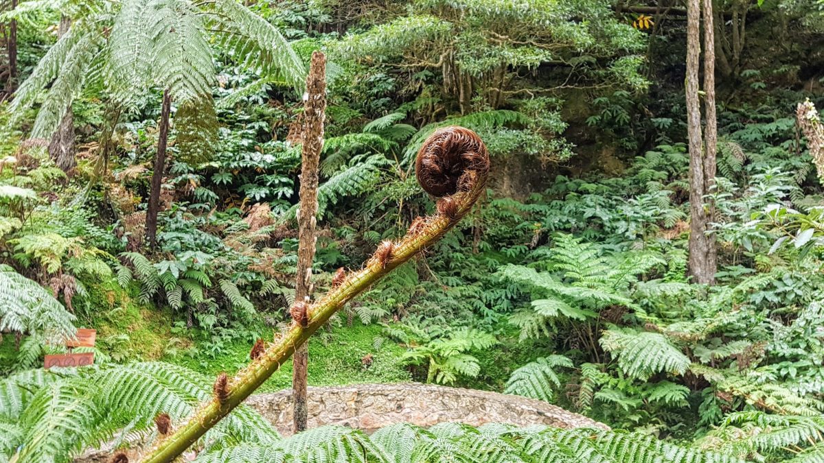 20191116 130150 scaled e1580307496421