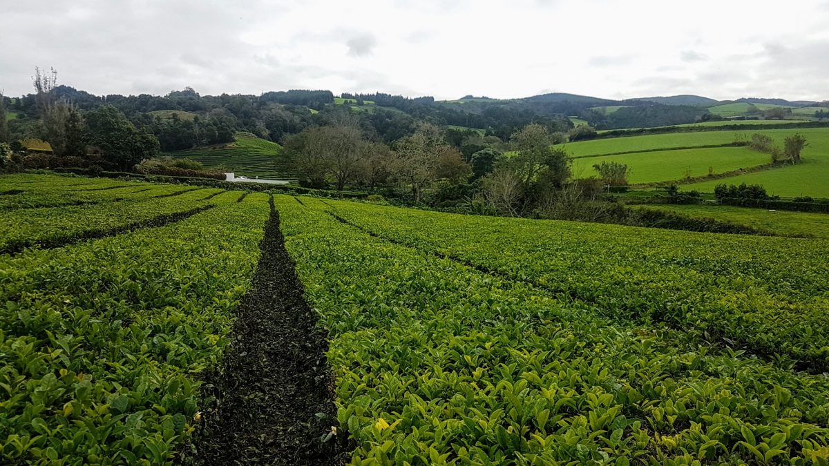 20191116 143840 scaled e1580307462737