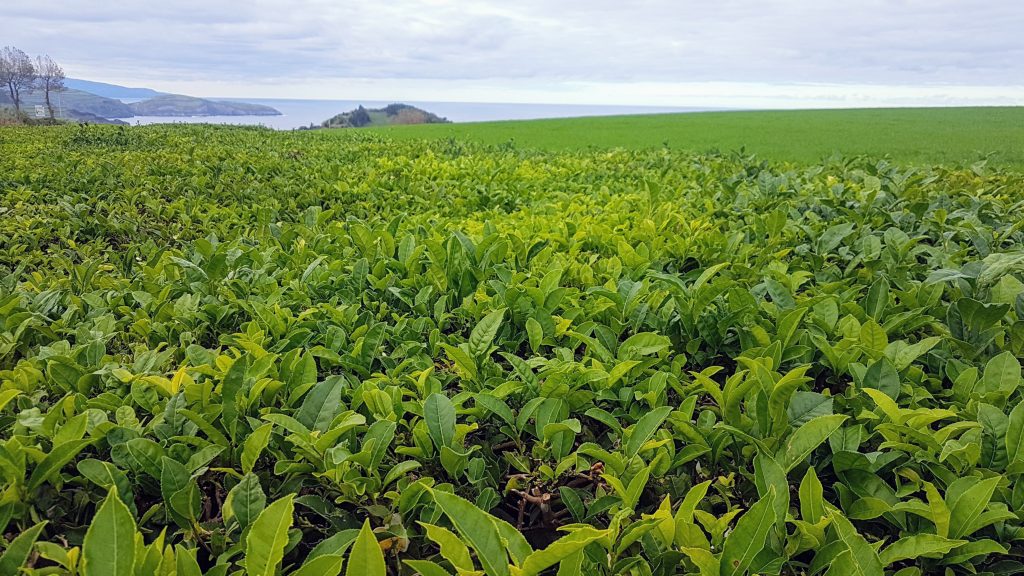 20191116 143909 scaled e1580307451305