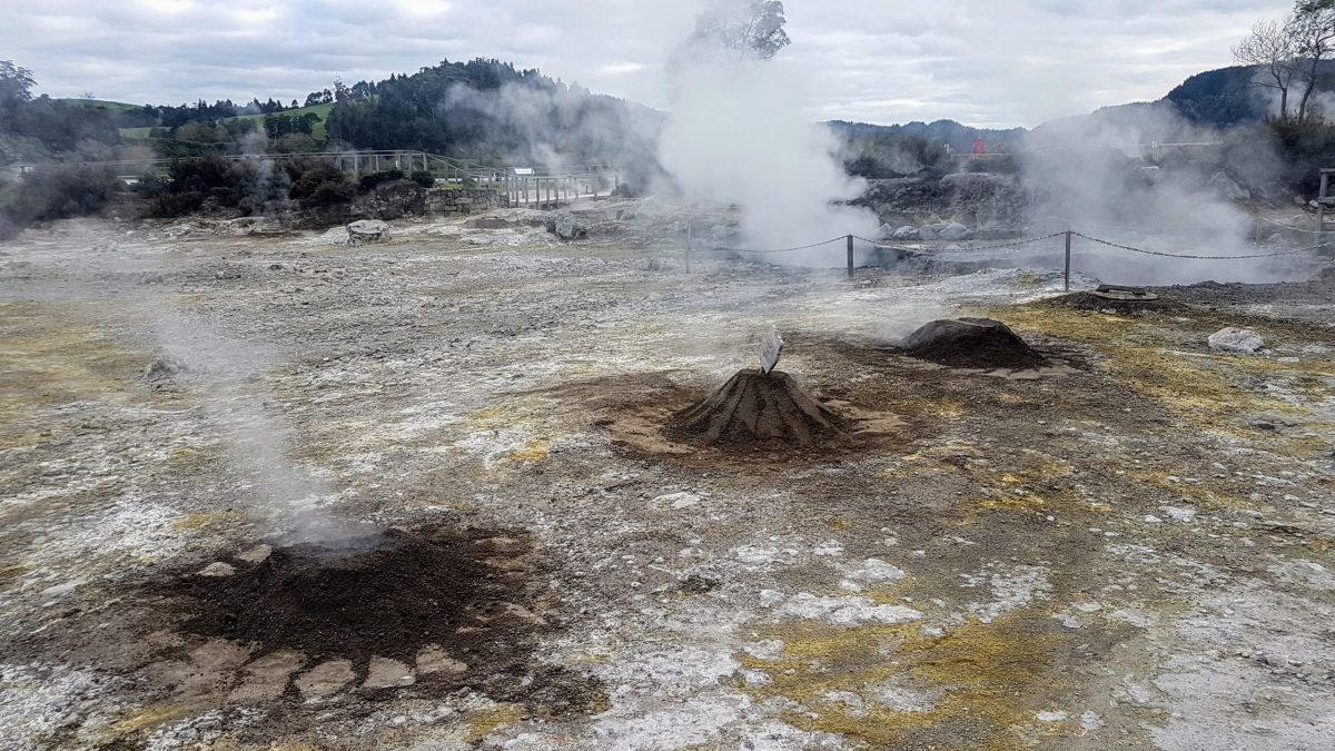 20191116 155924 scaled e1580307423160