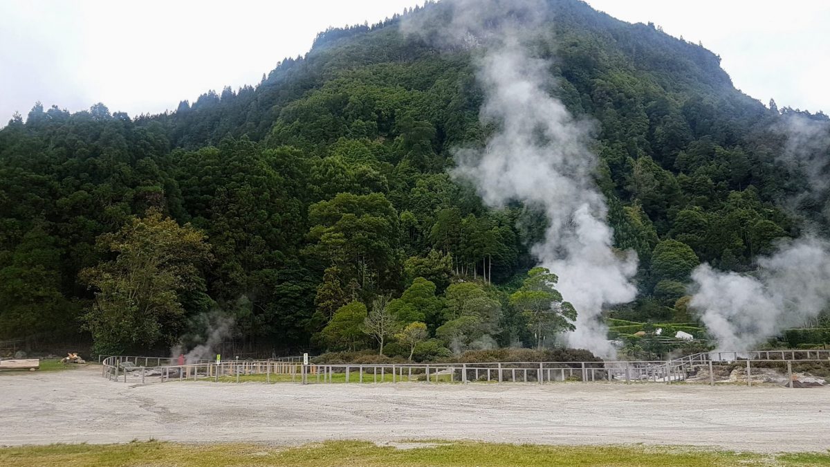 20191116 160427 scaled e1580307471953