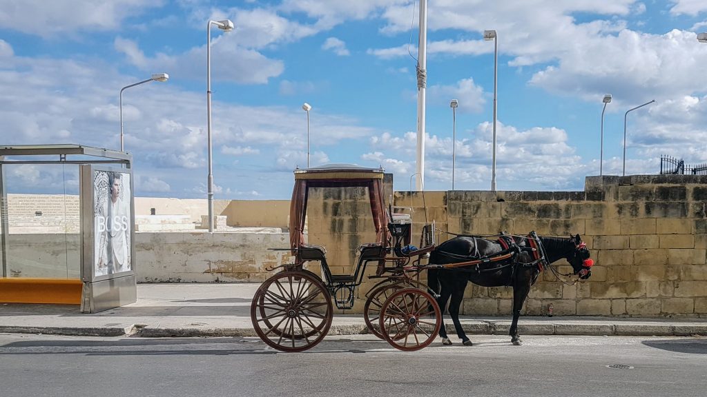 20200111 110813 scaled