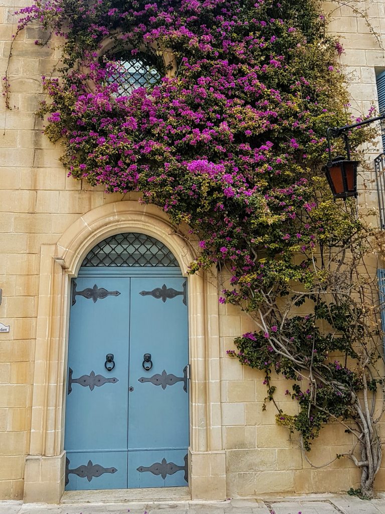 20200112 095012 scaled