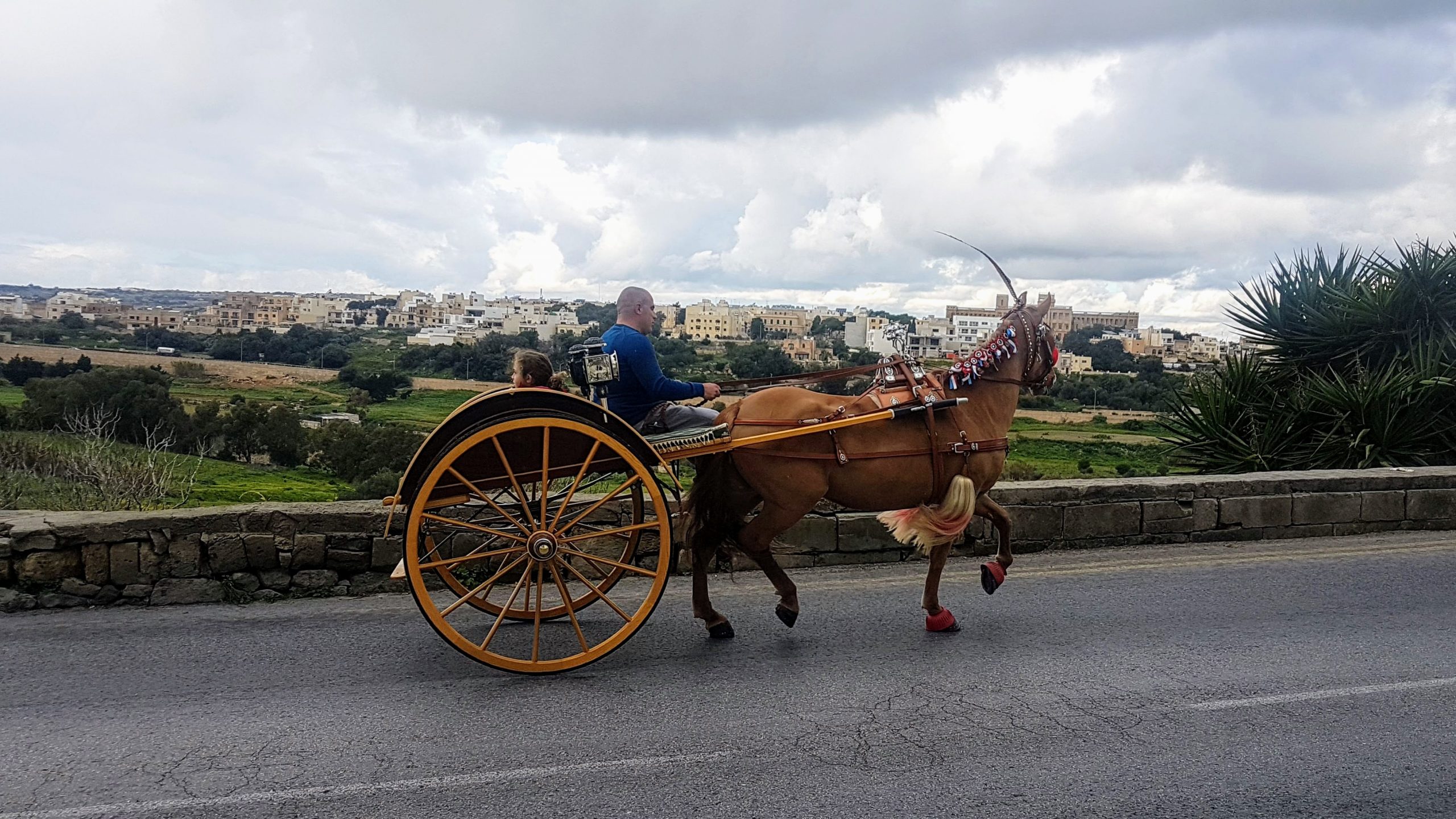 20200112 111347 scaled