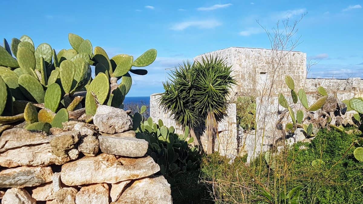 20200113 150340 e1579799637137