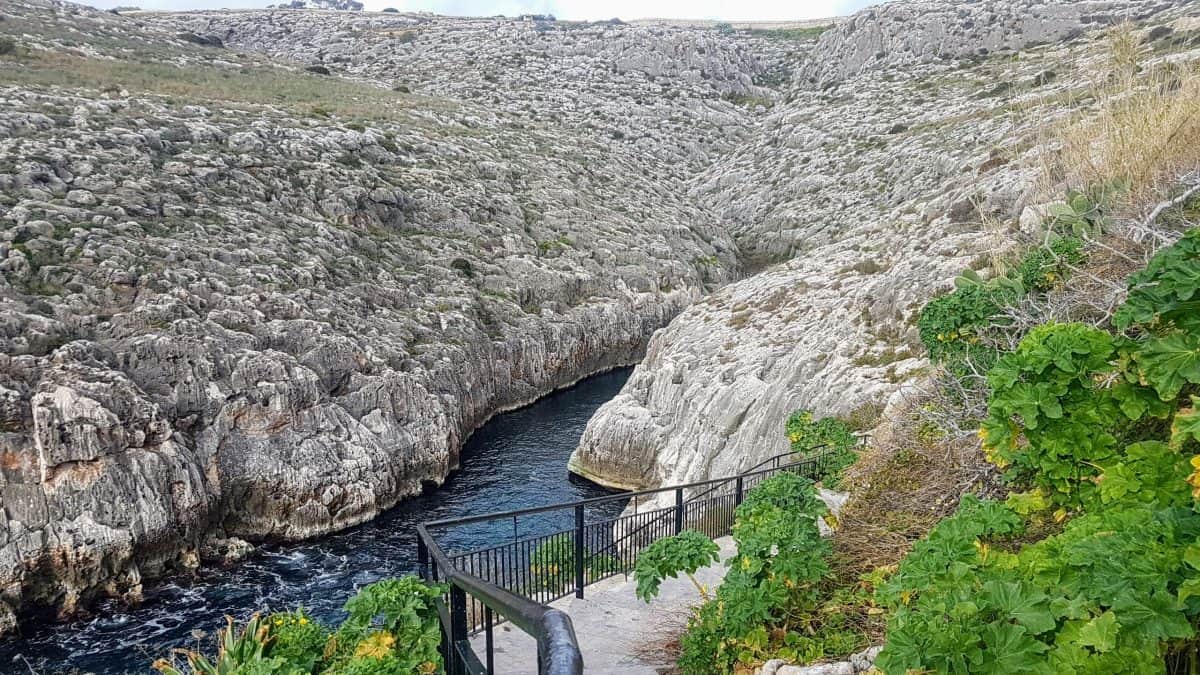 20200114 142116 e1579784405874