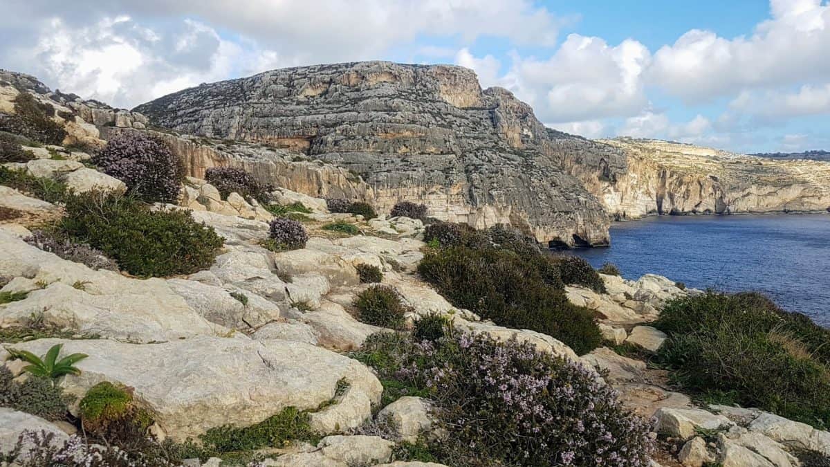 20200114 143628 e1579784427341