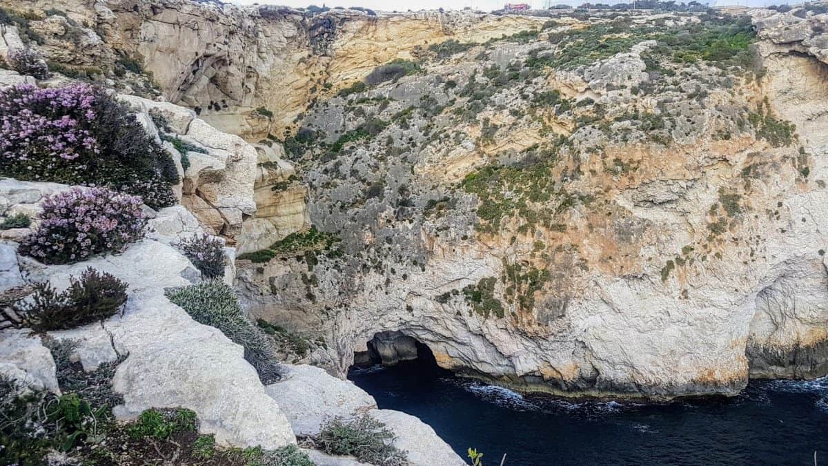 20200114 143656 e1579784450760