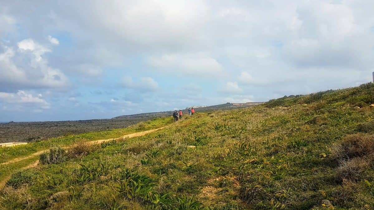 20200115 120522 e1579788399648