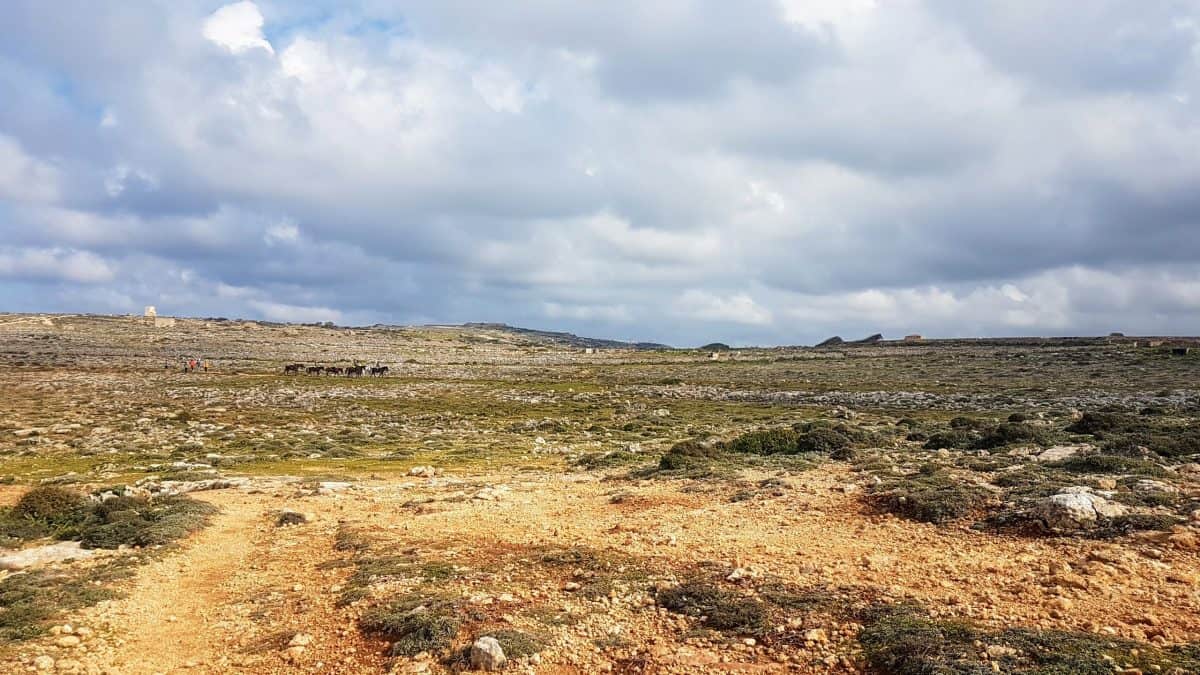 20200115 121932 e1579788391495