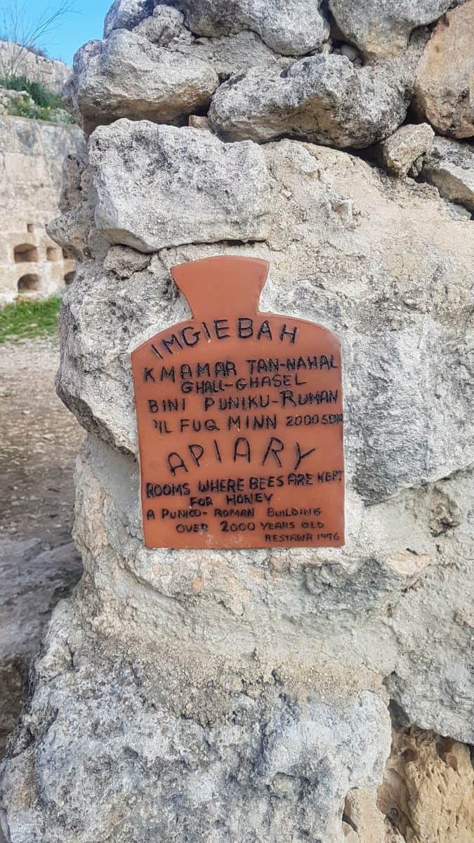 20200117 115505 e1579797574580