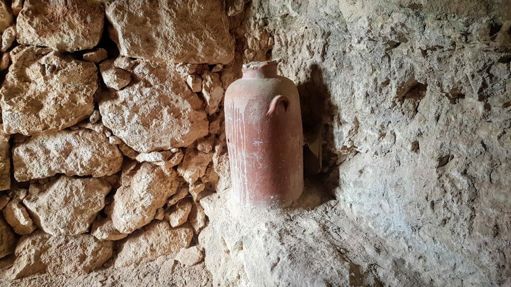 20200117 115612 e1579799711712