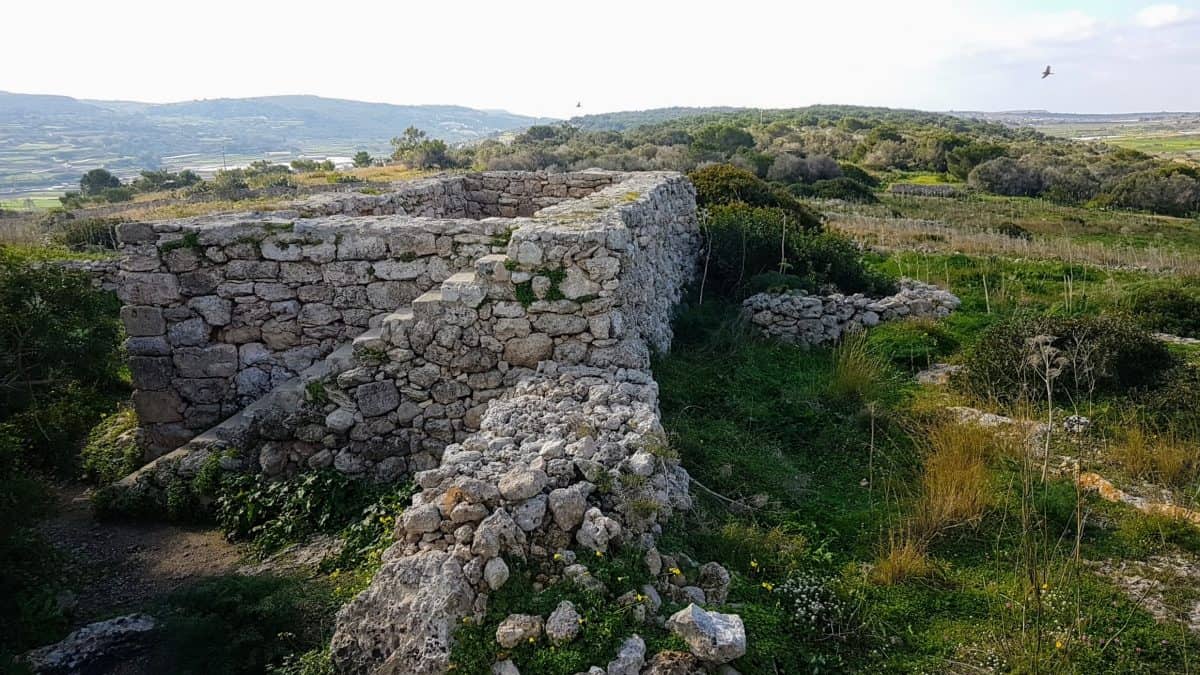 20200117 121244 e1579799675355