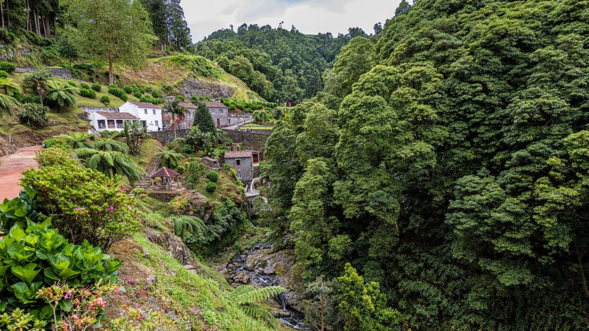 shutterstock 1437159593 e1580310063482