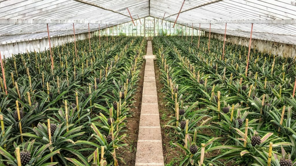 shutterstock 431413114 scaled e1580307625457